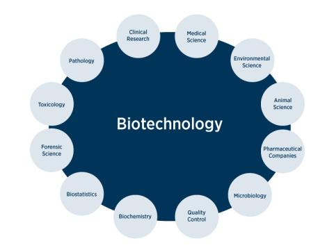 career in biotech