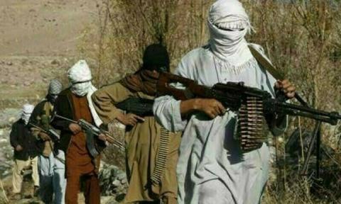 The TTP Threat: From Regional Menace to Global Security Challenge
